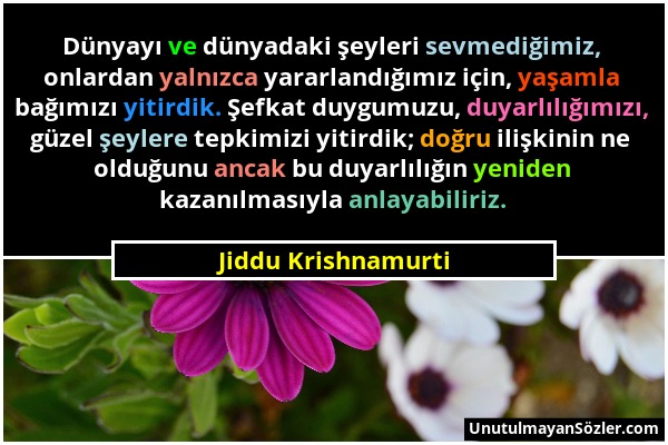 Jiddu Krishnamurti - Dünyayı ve dünyadaki şeyleri sevmediğimiz, onlardan yalnızca yararlandığımız için, yaşamla bağımızı yitirdik. Şefkat duygumuzu, d...