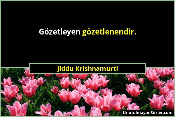 Jiddu Krishnamurti - Gözetleyen gözetlenendir....