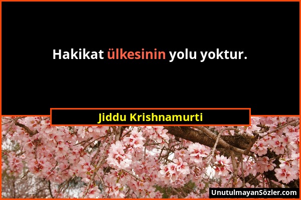 Jiddu Krishnamurti - Hakikat ülkesinin yolu yoktur....