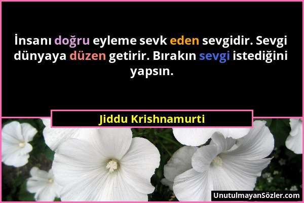 Jiddu Krishnamurti - İnsanı doğru eyleme sevk eden sevgidir. Sevgi dünyaya düzen getirir. Bırakın sevgi istediğini yapsın....