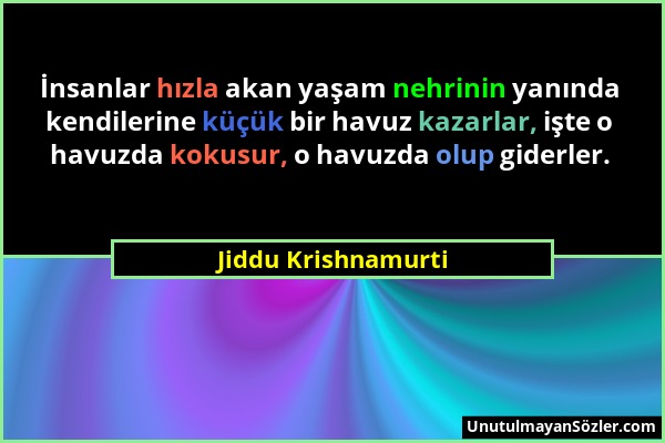 Jiddu Krishnamurti - İnsanlar hızla akan yaşam nehrinin yanında kendilerine küçük bir havuz kazarlar, işte o havuzda kokusur, o havuzda olup giderler....