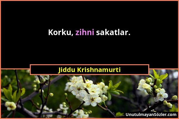 Jiddu Krishnamurti - Korku, zihni sakatlar....