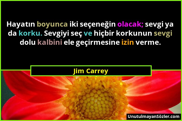 Jim Carrey - Hayatın boyunca iki seçeneğin olacak; sevgi ya da korku. Sevgiyi seç ve hiçbir korkunun sevgi dolu kalbini ele geçirmesine izin verme....