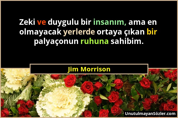 Jim Morrison - Zeki ve duygulu bir insanım, ama en olmayacak yerlerde ortaya çıkan bir palyaçonun ruhuna sahibim....
