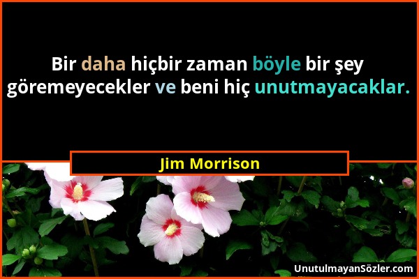 Jim Morrison - Bir daha hiçbir zaman böyle bir şey göremeyecekler ve beni hiç unutmayacaklar....