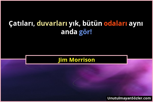 Jim Morrison - Çatıları, duvarları yık, bütün odaları aynı anda gör!...
