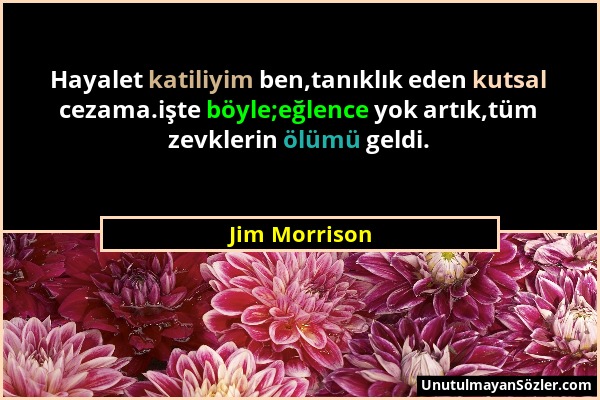 Jim Morrison - Hayalet katiliyim ben,tanıklık eden kutsal cezama.işte böyle;eğlence yok artık,tüm zevklerin ölümü geldi....