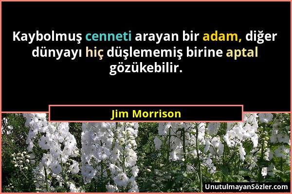 Jim Morrison - Kaybolmuş cenneti arayan bir adam, diğer dünyayı hiç düşlememiş birine aptal gözükebilir....