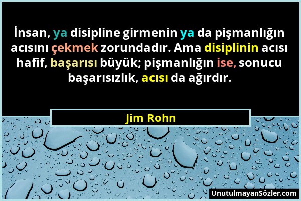 Jim Rohn - İnsan, ya disipline girmenin ya da pişmanlığın acısını çekmek zorundadır. Ama disiplinin acısı hafif, başarısı büyük; pişmanlığın ise, sonu...