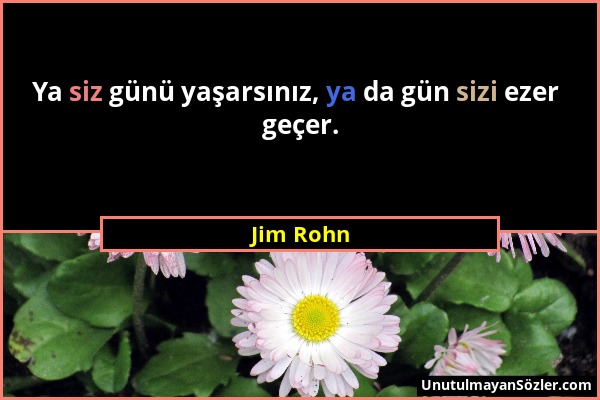 Jim Rohn - Ya siz günü yaşarsınız, ya da gün sizi ezer geçer....