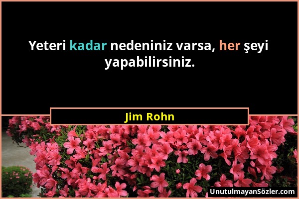 Jim Rohn - Yeteri kadar nedeniniz varsa, her şeyi yapabilirsiniz....