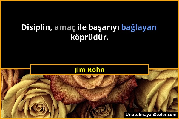 Jim Rohn - Disiplin, amaç ile başarıyı bağlayan köprüdür....