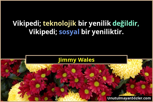 Jimmy Wales - Vikipedi; teknolojik bir yenilik değildir, Vikipedi; sosyal bir yeniliktir....
