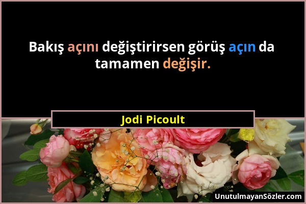 Jodi Picoult - Bakış açını değiştirirsen görüş açın da tamamen değişir....