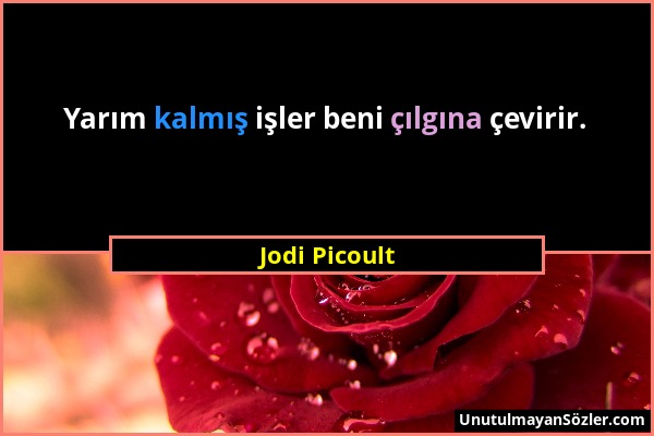 Jodi Picoult - Yarım kalmış işler beni çılgına çevirir....