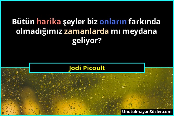 Jodi Picoult - Bütün harika şeyler biz onların farkında olmadığımız zamanlarda mı meydana geliyor?...