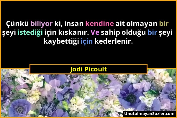 Jodi Picoult - Çünkü biliyor ki, insan kendine ait olmayan bir şeyi istediği için kıskanır. Ve sahip olduğu bir şeyi kaybettiği için kederlenir....