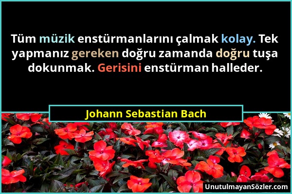 Johann Sebastian Bach - Tüm müzik enstürmanlarını çalmak kolay. Tek yapmanız gereken doğru zamanda doğru tuşa dokunmak. Gerisini enstürman halleder....