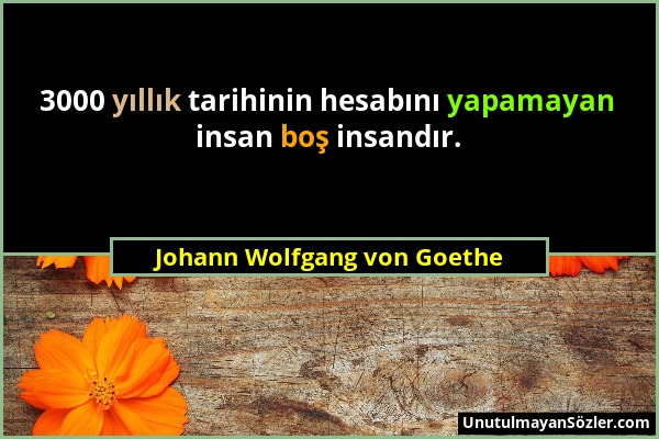 Johann Wolfgang von Goethe - 3000 yıllık tarihinin hesabını yapamayan insan boş insandır....