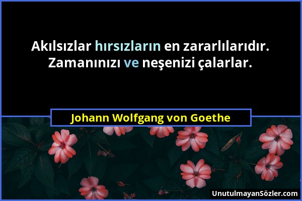 Johann Wolfgang von Goethe - Akılsızlar hırsızların en zararlılarıdır. Zamanınızı ve neşenizi çalarlar....