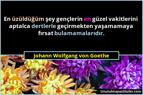 Johann Wolfgang von Goethe - En üzüldüğüm şey gençlerin en güzel vakitlerini aptalca dertlerle geçirmekten yaşamamaya fırsat bulamamalarıdır....