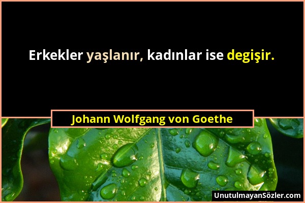 Johann Wolfgang von Goethe - Erkekler yaşlanır, kadınlar ise degişir....