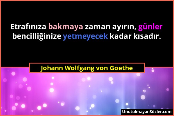 Johann Wolfgang von Goethe - Etrafınıza bakmaya zaman ayırın, günler bencilliğinize yetmeyecek kadar kısadır....