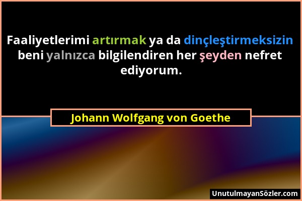 Johann Wolfgang von Goethe - Faaliyetlerimi artırmak ya da dinçleştirmeksizin beni yalnızca bilgilendiren her şeyden nefret ediyorum....