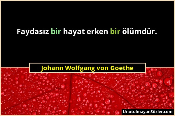 Johann Wolfgang von Goethe - Faydasız bir hayat erken bir ölümdür....
