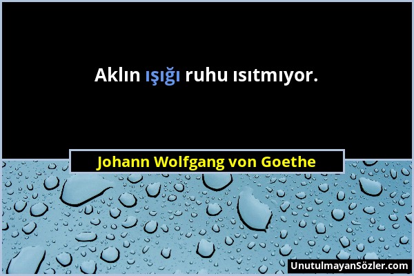 Johann Wolfgang von Goethe - Aklın ışığı ruhu ısıtmıyor....