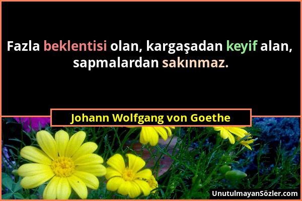 Johann Wolfgang von Goethe - Fazla beklentisi olan, kargaşadan keyif alan, sapmalardan sakınmaz....