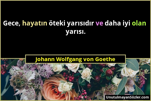 Johann Wolfgang von Goethe - Gece, hayatın öteki yarısıdır ve daha iyi olan yarısı....