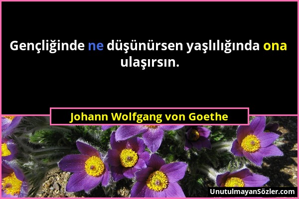 Johann Wolfgang von Goethe - Gençliğinde ne düşünürsen yaşlılığında ona ulaşırsın....