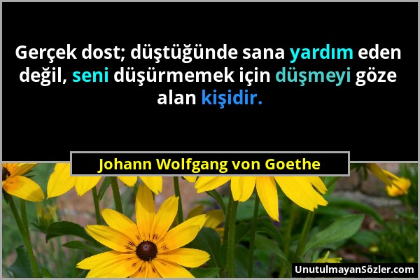 Johann Wolfgang von Goethe - Gerçek dost; düştüğünde sana yardım eden değil, seni düşürmemek için düşmeyi göze alan kişidir....
