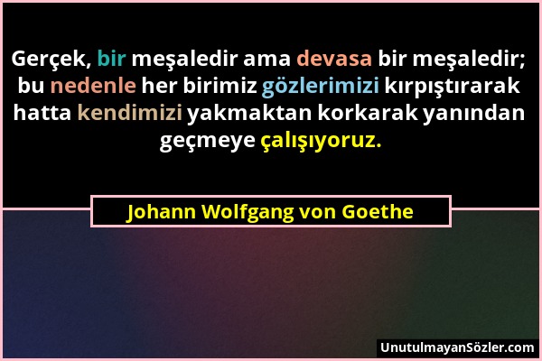 Johann Wolfgang von Goethe - Gerçek, bir meşaledir ama devasa bir meşaledir; bu nedenle her birimiz gözlerimizi kırpıştırarak hatta kendimizi yakmakta...