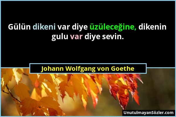 Johann Wolfgang von Goethe - Gülün dikeni var diye üzüleceğine, dikenin gulu var diye sevin....