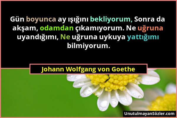 Johann Wolfgang von Goethe - Gün boyunca ay ışığını bekliyorum, Sonra da akşam, odamdan çıkamıyorum. Ne uğruna uyandığımı, Ne uğruna uykuya yattığımı...