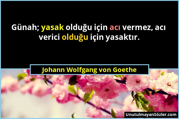 Johann Wolfgang von Goethe - Günah; yasak olduğu için acı vermez, acı verici olduğu için yasaktır....