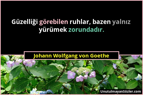 Johann Wolfgang von Goethe - Güzelliği görebilen ruhlar, bazen yalnız yürümek zorundadır....