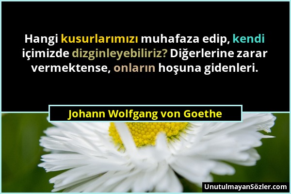 Johann Wolfgang von Goethe - Hangi kusurlarımızı muhafaza edip, kendi içimizde dizginleyebiliriz? Diğerlerine zarar vermektense, onların hoşuna gidenl...