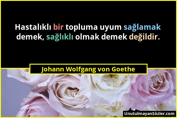 Johann Wolfgang von Goethe - Hastalıklı bir topluma uyum sağlamak demek, sağlıklı olmak demek değildir....