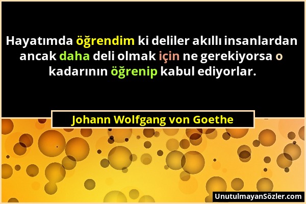 Johann Wolfgang von Goethe - Hayatımda öğrendim ki deliler akıllı insanlardan ancak daha deli olmak için ne gerekiyorsa o kadarının öğrenip kabul ediy...
