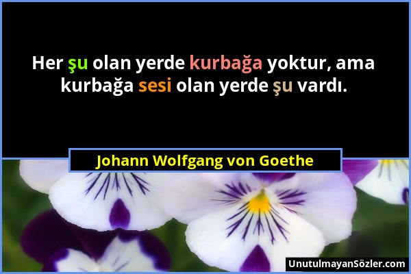 Johann Wolfgang von Goethe - Her şu olan yerde kurbağa yoktur, ama kurbağa sesi olan yerde şu vardı....