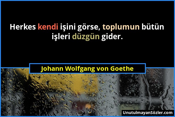 Johann Wolfgang von Goethe - Herkes kendi işini görse, toplumun bütün işleri düzgün gider....