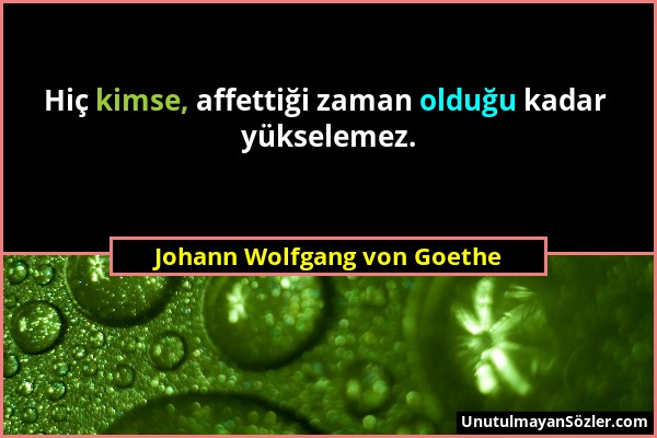 Johann Wolfgang von Goethe - Hiç kimse, affettiği zaman olduğu kadar yükselemez....