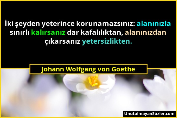 Johann Wolfgang von Goethe - İki şeyden yeterince korunamazsınız: alanınızla sınırlı kalırsanız dar kafalılıktan, alanınızdan çıkarsanız yetersizlikte...
