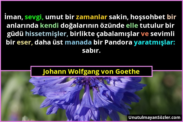 Johann Wolfgang von Goethe - İman, sevgi, umut bir zamanlar sakin, hoşsohbet bir anlarında kendi doğalarının özünde elle tutulur bir güdü hissetmişler...