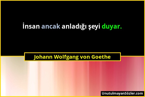 Johann Wolfgang von Goethe - İnsan ancak anladığı şeyi duyar....