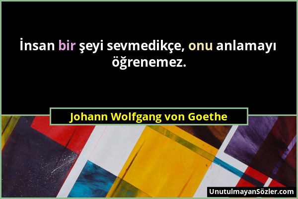 Johann Wolfgang von Goethe - İnsan bir şeyi sevmedikçe, onu anlamayı öğrenemez....