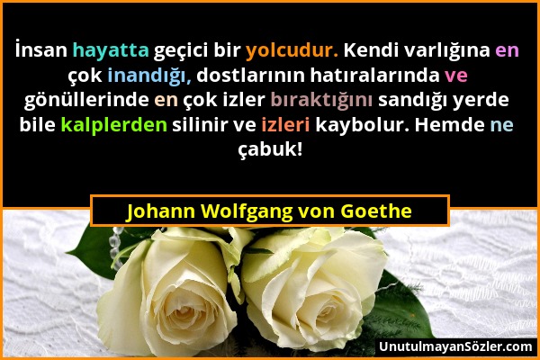 Johann Wolfgang von Goethe - İnsan hayatta geçici bir yolcudur. Kendi varlığına en çok inandığı, dostlarının hatıralarında ve gönüllerinde en çok izle...